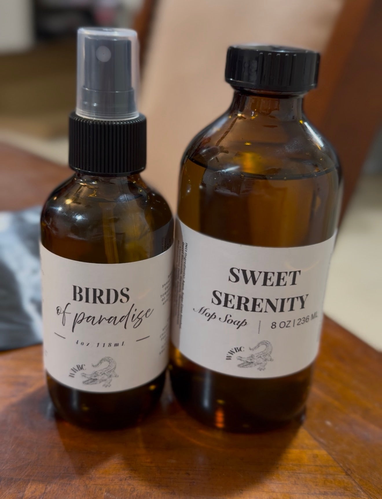 Spray + Mop Duo